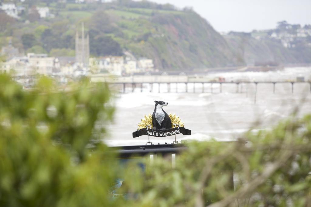 The Ness Panzió Teignmouth Kültér fotó