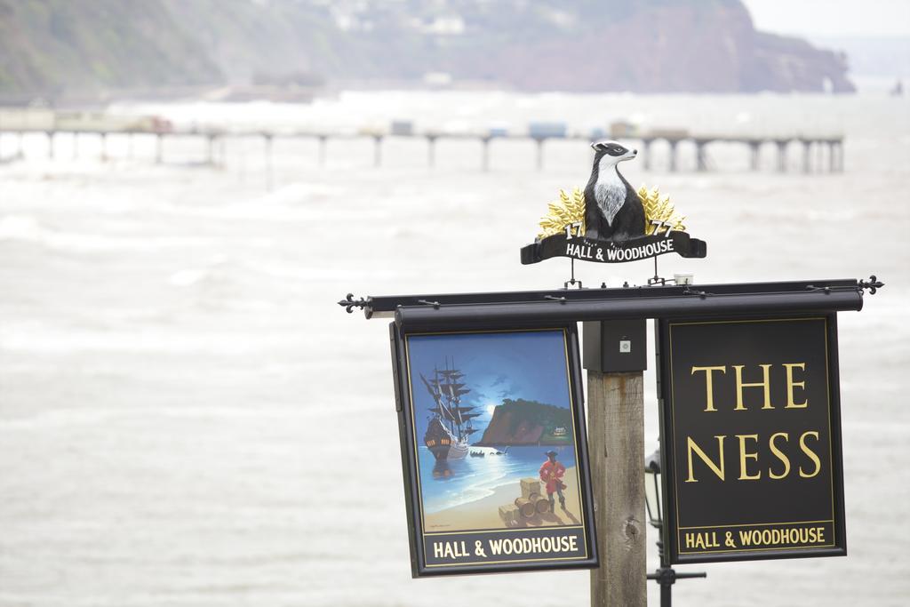 The Ness Panzió Teignmouth Kültér fotó